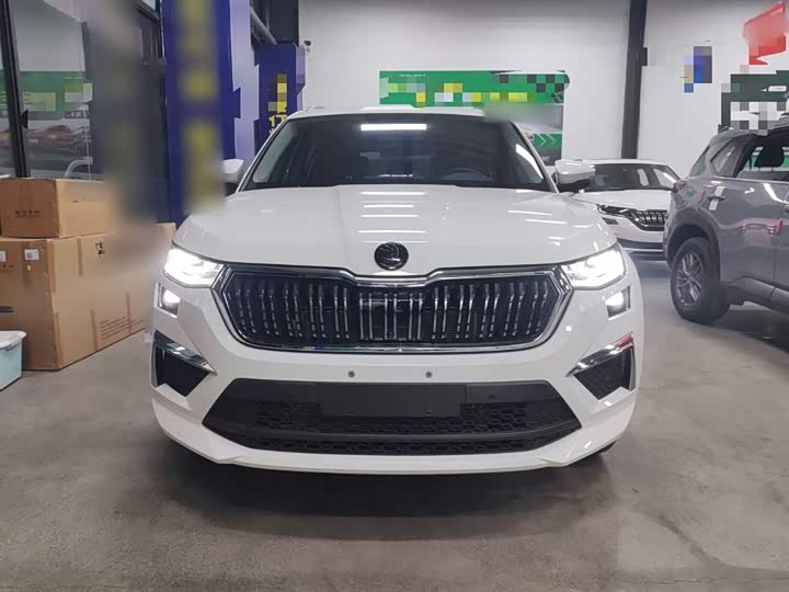 Skoda Kodiaq 2023 2023款 改款 TSI330 7座两驱奢享版