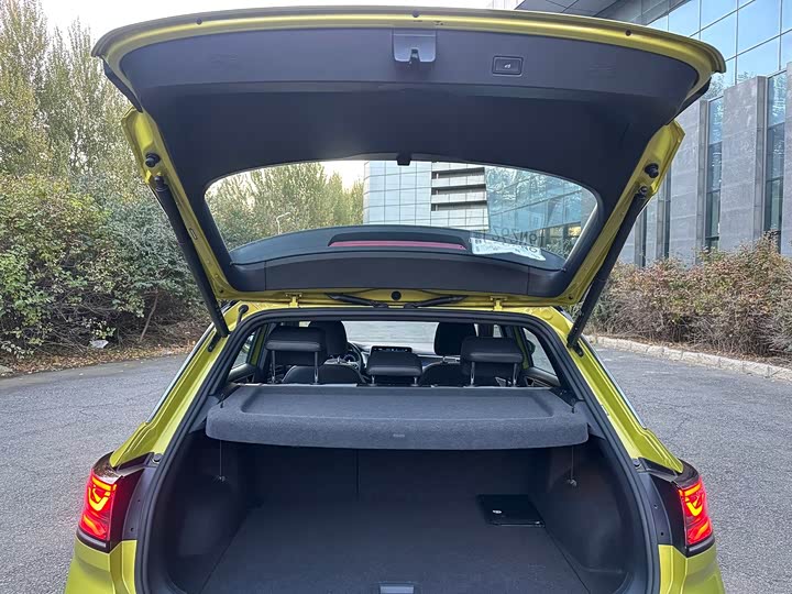 Volkswagen T-Roc 2023 2023款 300TSI DSG两驱星光版