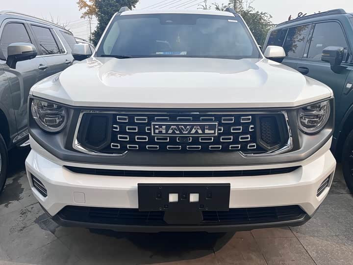 Haval H-Dog 2023 2023款 2.0T 四驱潮野Plus