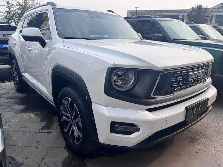 Haval H-Dog 2023 2023款 2.0T 四驱潮野Plus
