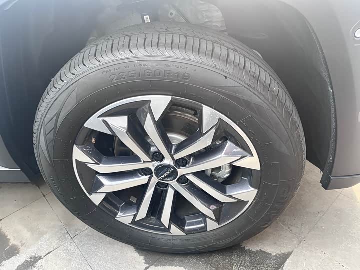 Haval H-Dog 2023 2023款 2.0T 四驱潮野Plus