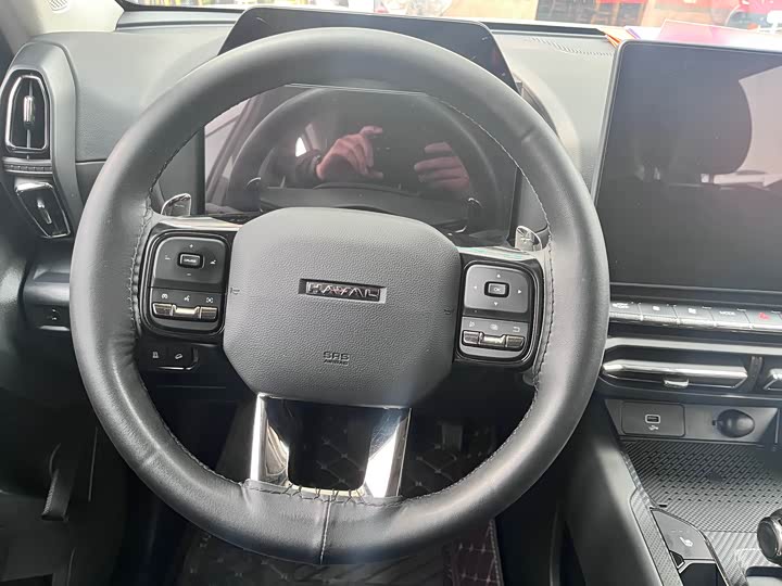 Haval H-Dog 2023 2023款 2.0T 四驱潮野Plus