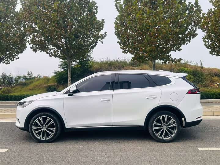 BYD Tang 2019 2019款 2.0T 自动智联尊贵型 7座 国VI