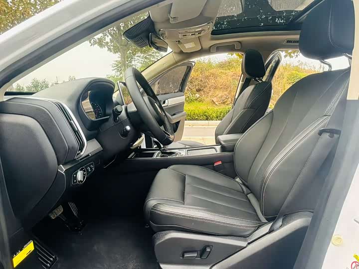 BYD Tang 2019 2019款 2.0T 自动智联尊贵型 7座 国VI