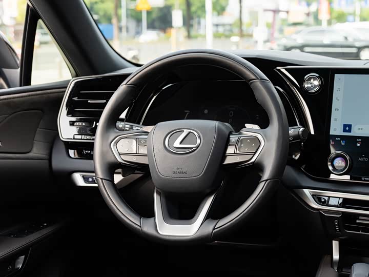 Lexus RX Hybrid 2023 2023款 450h+ 四驱畅享版