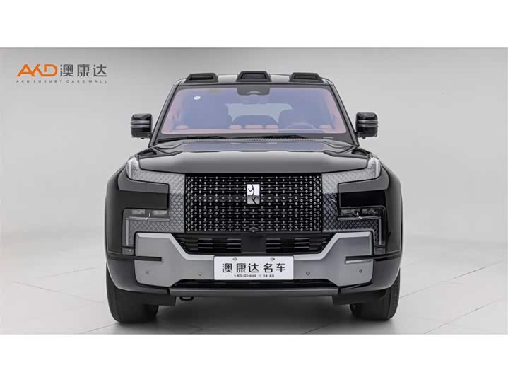 BYD Yangwang U8 2023 2023款 豪华版