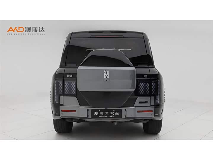 BYD Yangwang U8 2023 2023款 豪华版