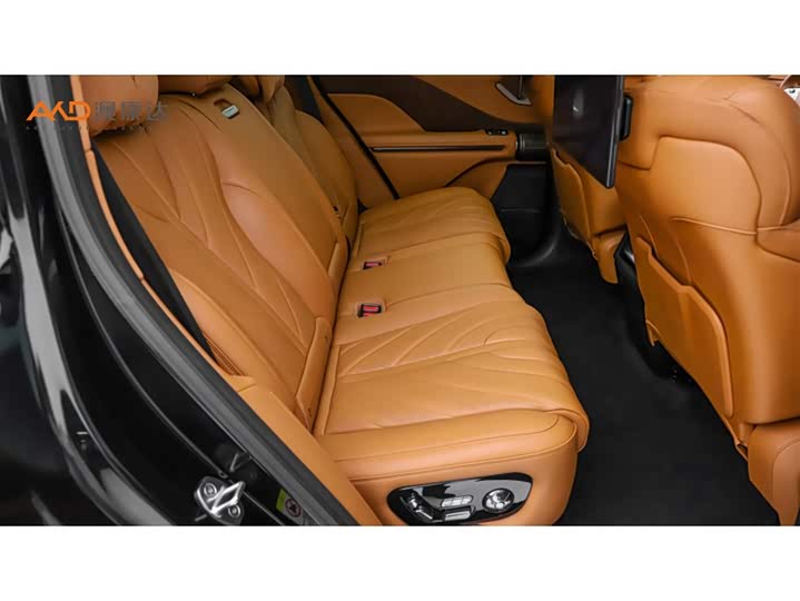 BYD Yangwang U8 2023 2023款 豪华版