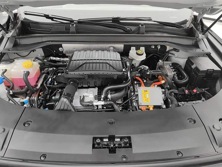 Exeed RX C-DM Hybrid 2024 2024款 1.5T 长续航Pro