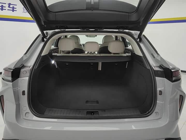 Exeed RX C-DM Hybrid 2024 2024款 1.5T 长续航Pro