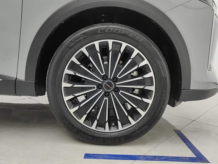 Exeed RX C-DM Hybrid 2024 2024款 1.5T 长续航Pro