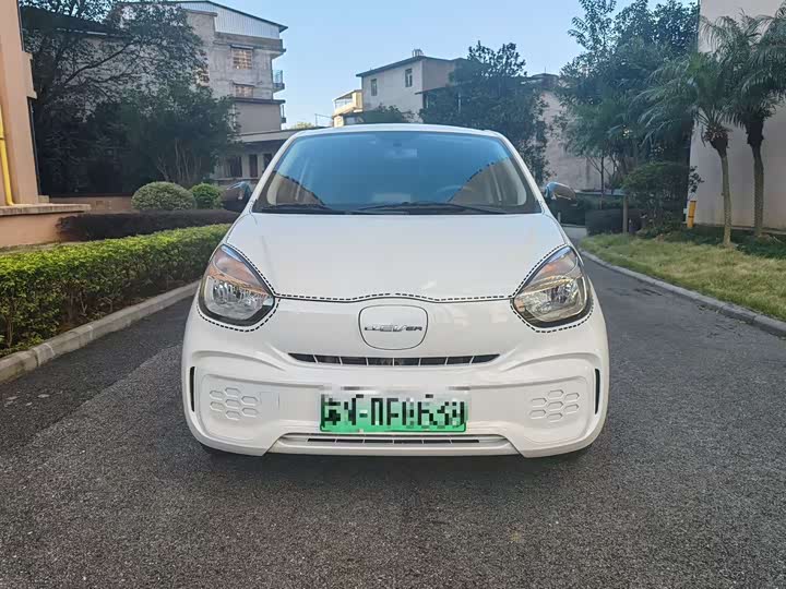 Roewe Clever 2022 2022款 311km元气啵啵版