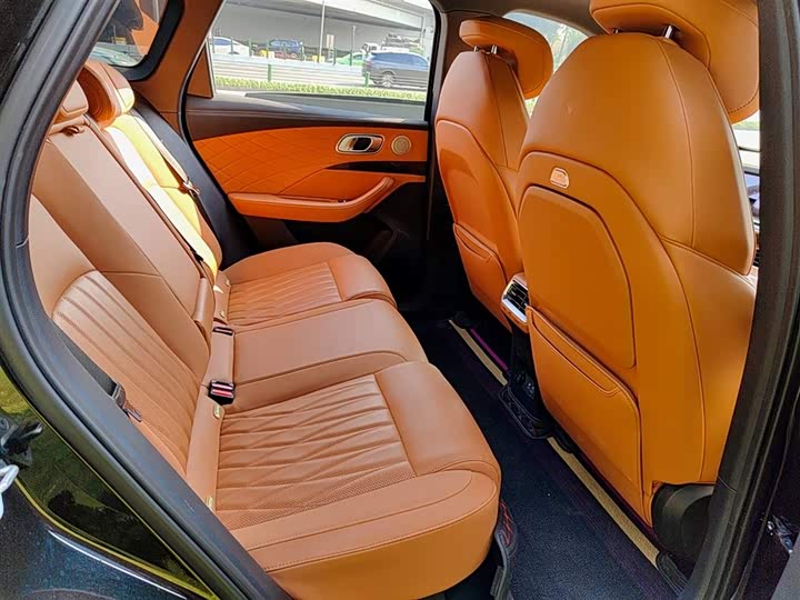 Hozon L 2024 2024款 增程 220 尊享版