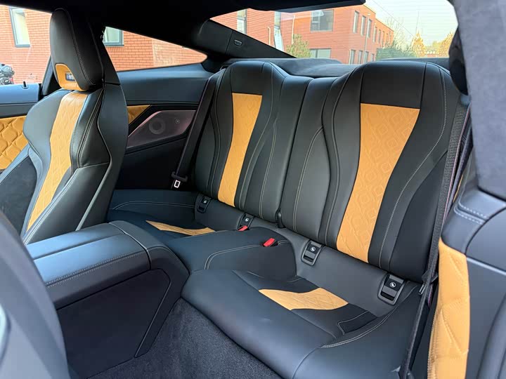 BMW M8 2019 2019款 M8 双门轿跑车 雷霆版