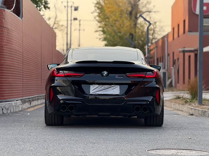 BMW M8 2019 2019款 M8 双门轿跑车 雷霆版