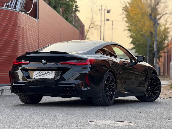 BMW M8 2019 2019款 M8 双门轿跑车 雷霆版