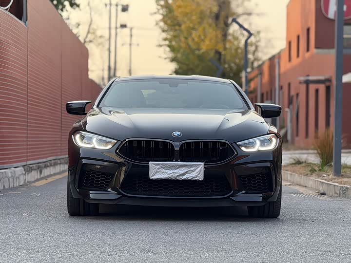 BMW M8 2019 2019款 M8 双门轿跑车 雷霆版
