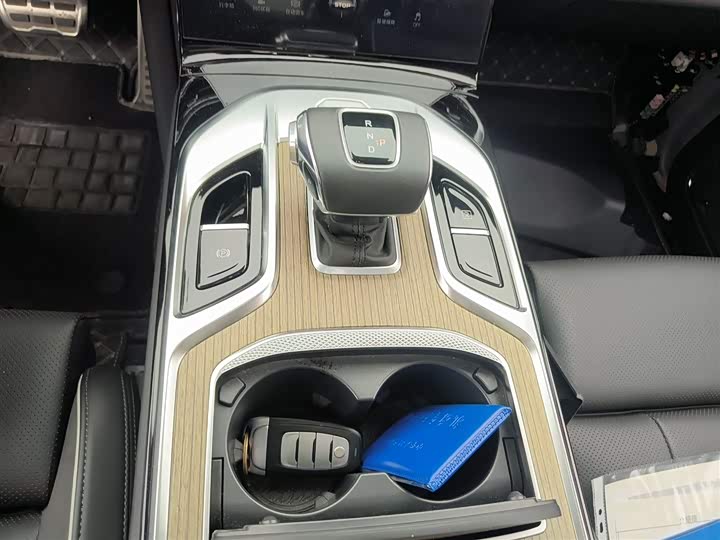 Hongqi E-HS9 2022 2022款 690km 旗享版 六座