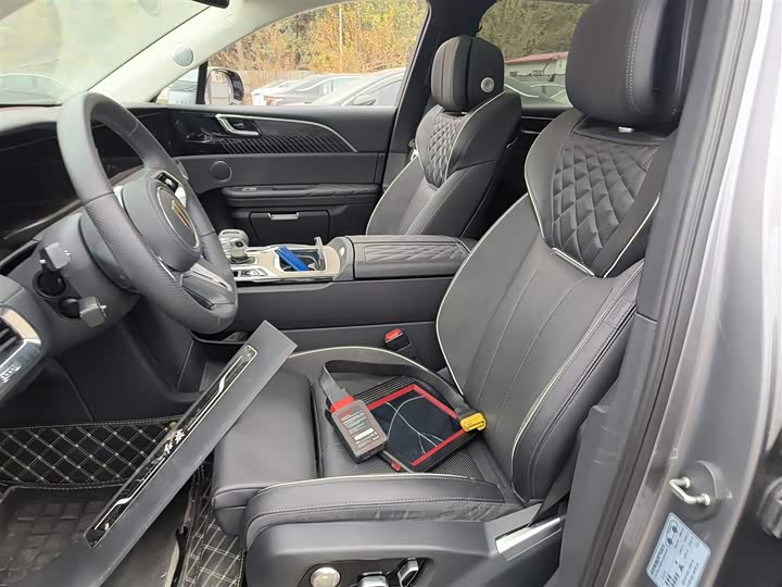 Hongqi E-HS9 2022 2022款 690km 旗享版 六座