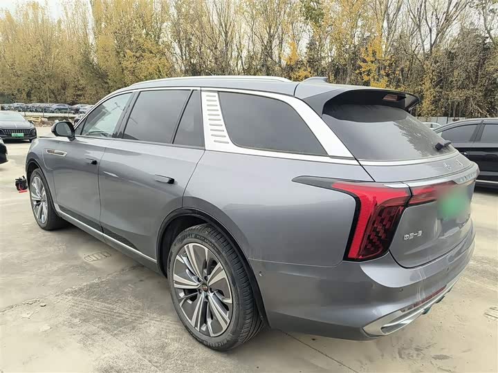 Hongqi E-HS9 2022 2022款 690km 旗享版 六座