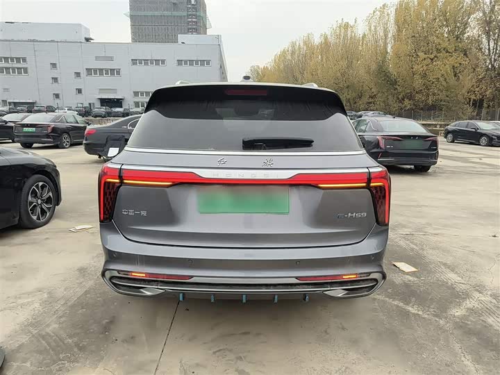 Hongqi E-HS9 2022 2022款 690km 旗享版 六座