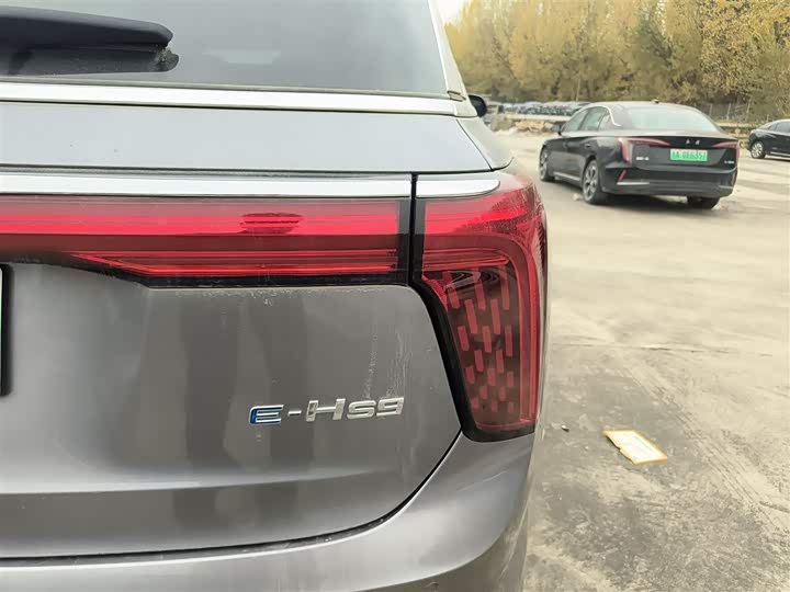 Hongqi E-HS9 2022 2022款 690km 旗享版 六座