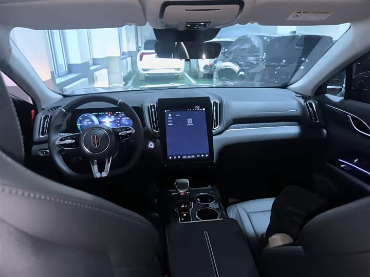 Hongqi HS3 Hybrid 2024 2024款 115km 劲为版