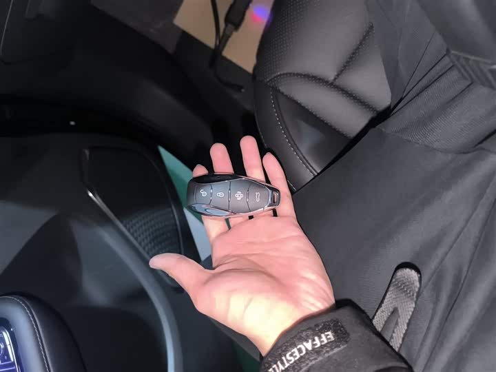 Hongqi HS3 Hybrid 2024 2024款 115km 劲为版