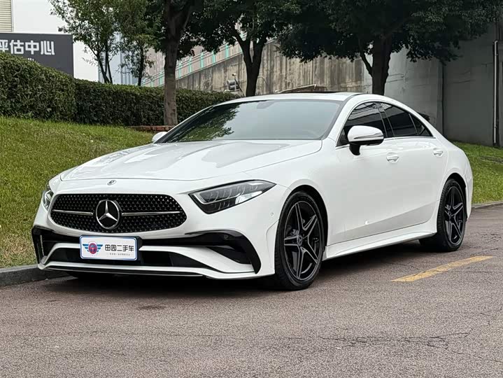 Mercedes-Benz CLS-Class 2023 2023款 CLS 300 动感型
