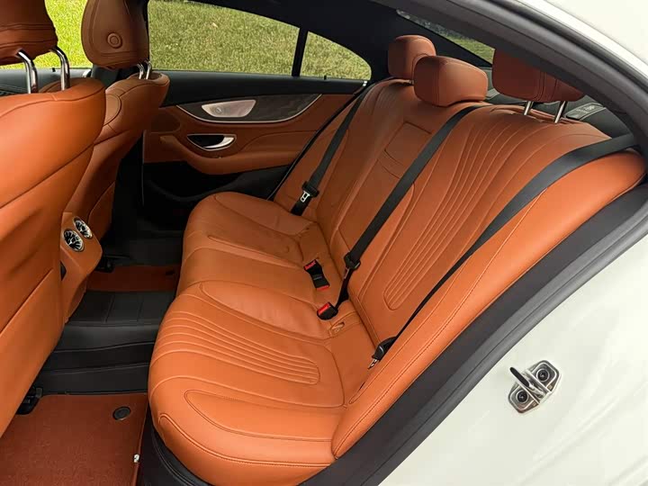 Mercedes-Benz CLS-Class 2023 2023款 CLS 300 动感型