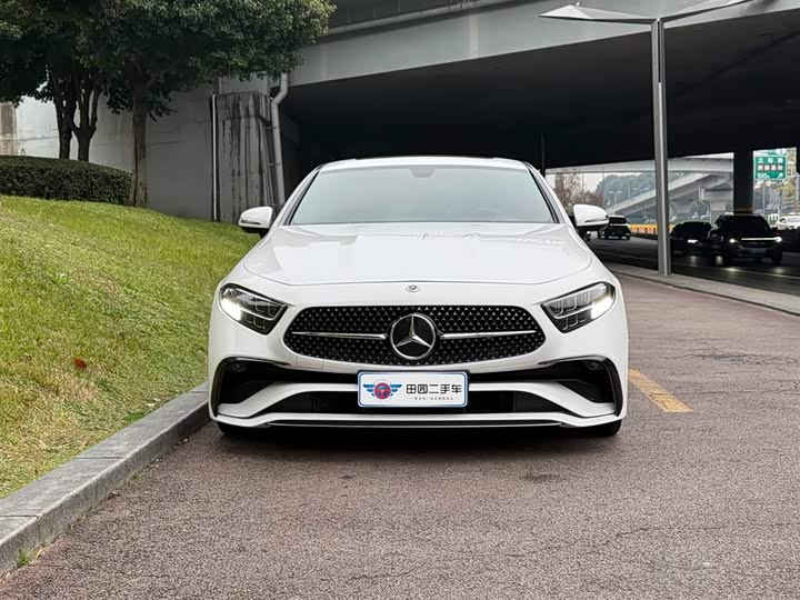 Mercedes-Benz CLS-Class 2023 2023款 CLS 300 动感型