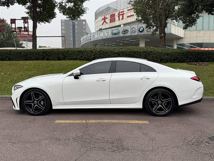 Mercedes-Benz CLS-Class 2023 2023款 CLS 300 动感型