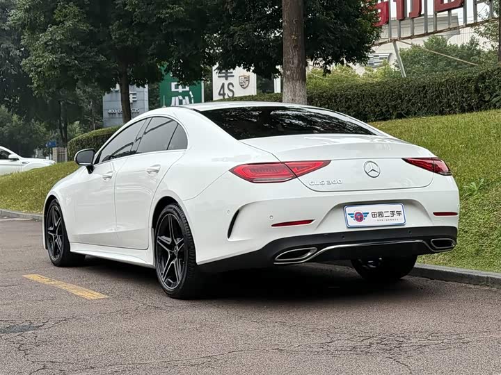 Mercedes-Benz CLS-Class 2023 2023款 CLS 300 动感型