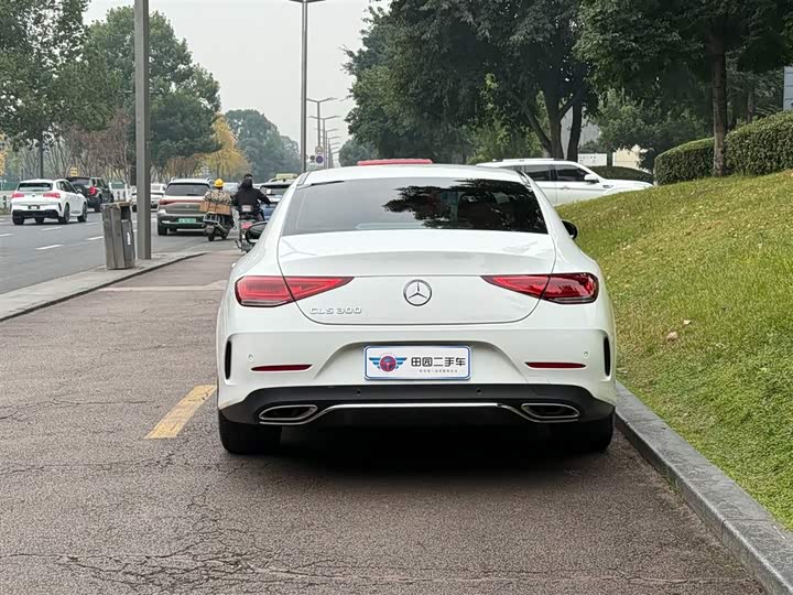 Mercedes-Benz CLS-Class 2023 2023款 CLS 300 动感型