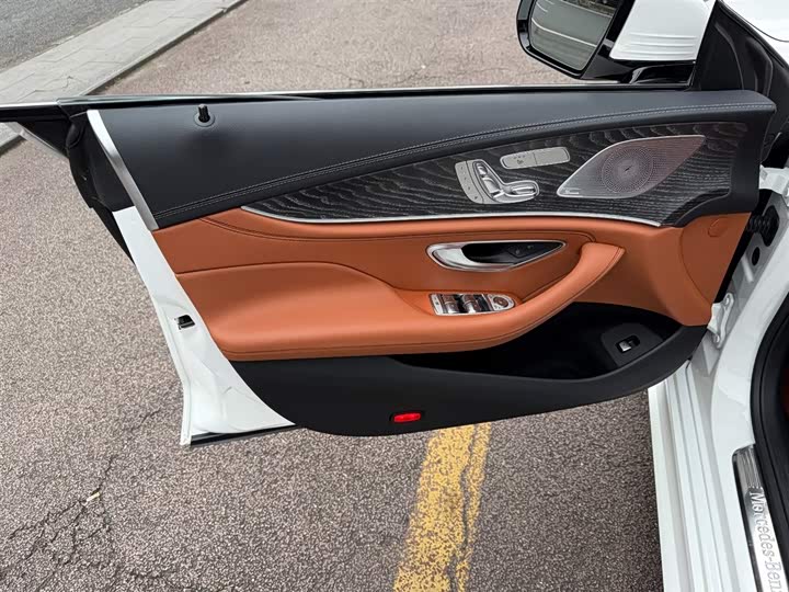 Mercedes-Benz CLS-Class 2023 2023款 CLS 300 动感型