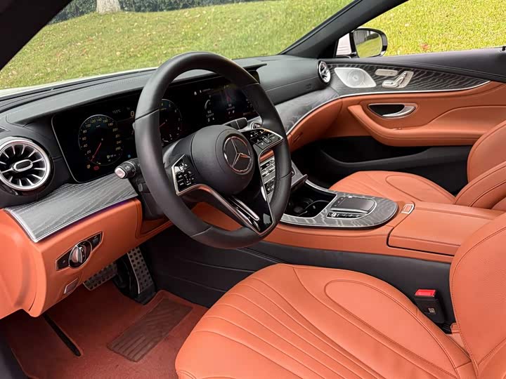 Mercedes-Benz CLS-Class 2023 2023款 CLS 300 动感型