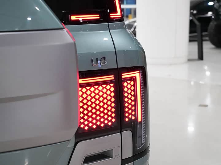 BYD Yangwang U8 2023 2023款 豪华版