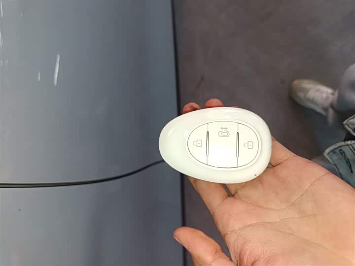 BAIC Arcfox Kaola 2023 2023款 家庭版Pro