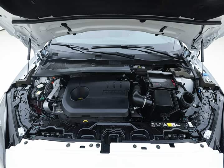 Jaguar E-Pace 2024 2024款 进取运动版 R-DYNAMIC S