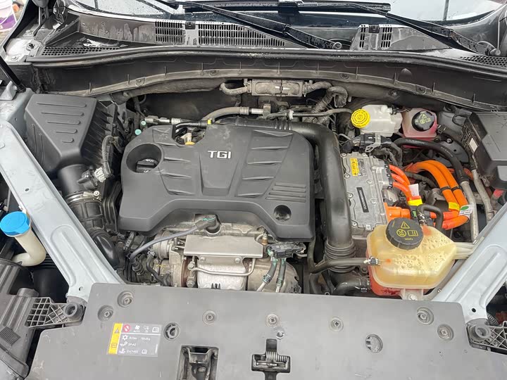 Roewe RX5 Hybrid 2021 2021款 ePLUS 国潮荣麟旗舰版