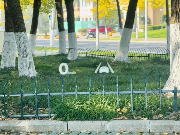 BAIC Arcfox Alpha S 2023 2023款 先行版