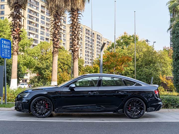 Audi RS 5 2023 2023款 RS 5 2.9T Sportback 黑曜版