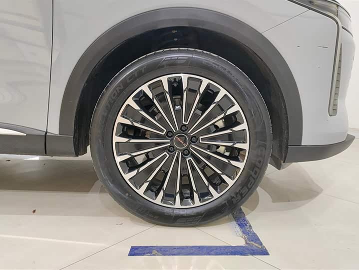 Exeed RX C-DM Hybrid 2024 2024款 1.5T 长续航Pro