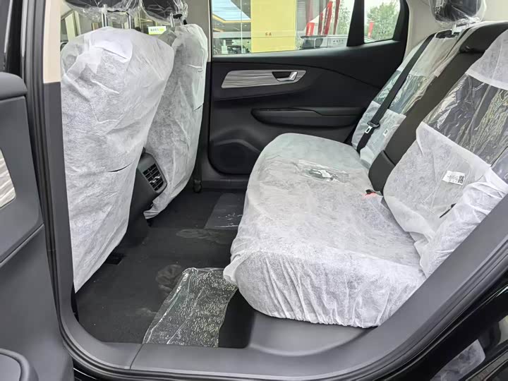 Hongqi E-QM5 2025 2025款 500km 出行版