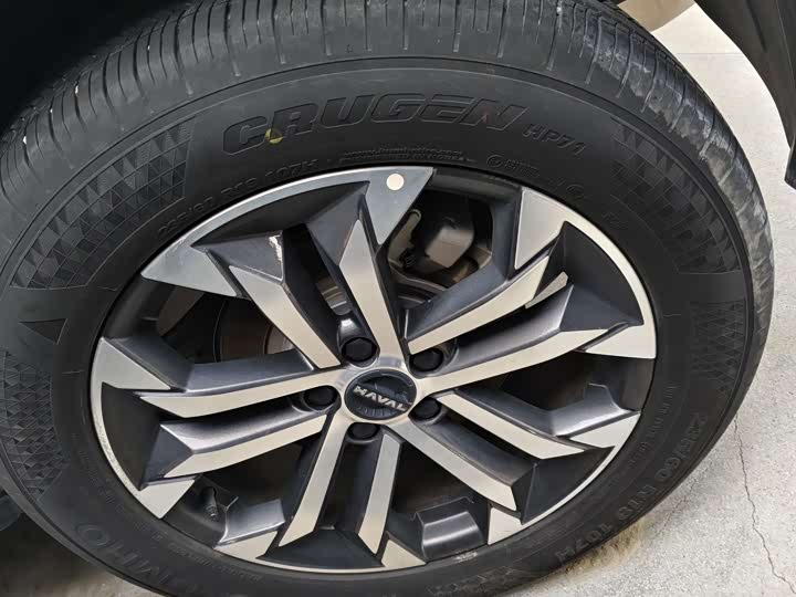 Haval H-Dog 2023 2023款 2.0T 四驱潮野Plus