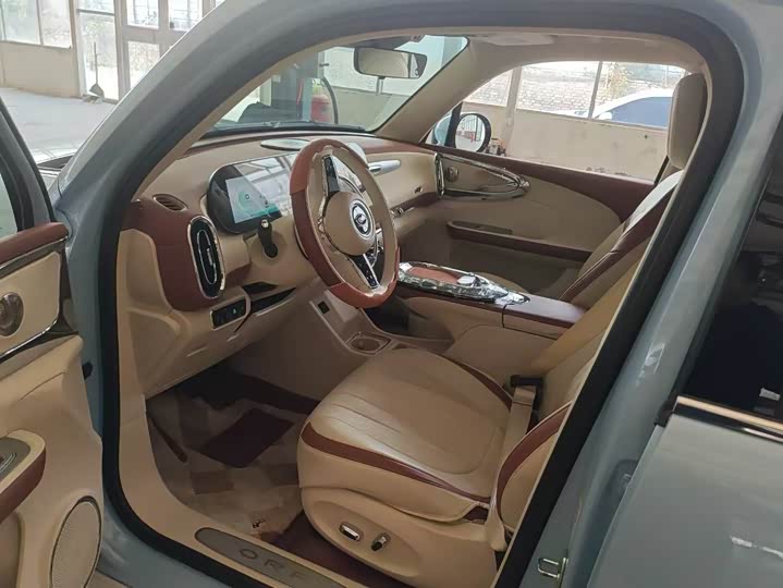 Ora Ballet Cat 2023 2023款 401km 尊贵型