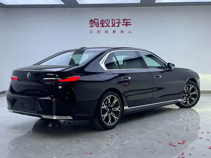 BMW 7 Series 2023 2023款 735Li 豪华套装