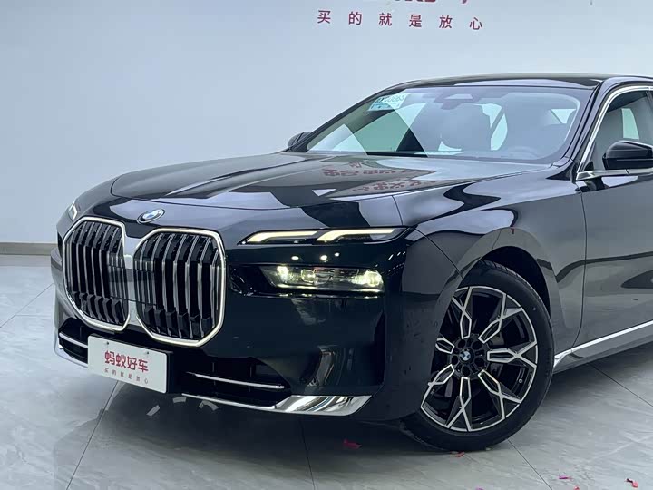 BMW 7 Series 2023 2023款 735Li 豪华套装