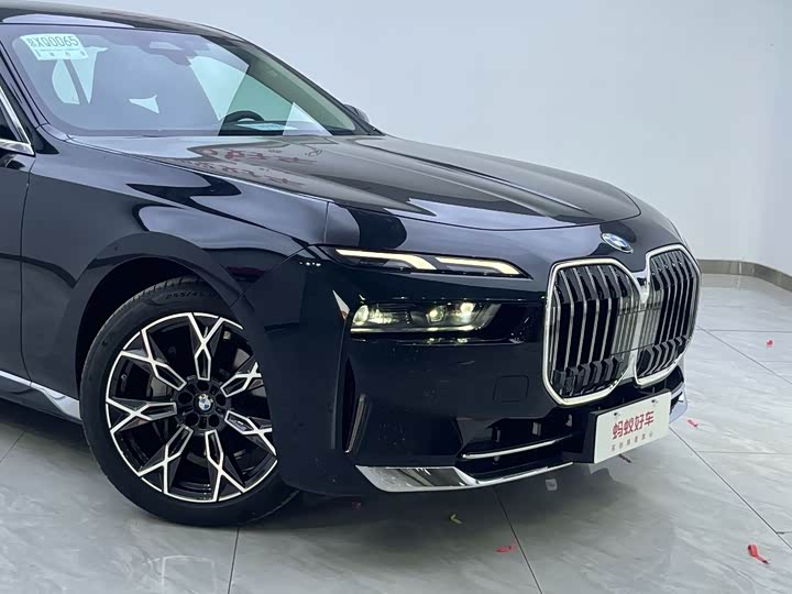 BMW 7 Series 2023 2023款 735Li 豪华套装