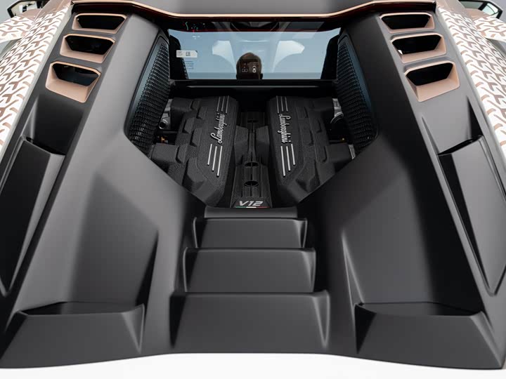 Lamborghini Revuelto 2023 2023款 6.5L PHEV标准版